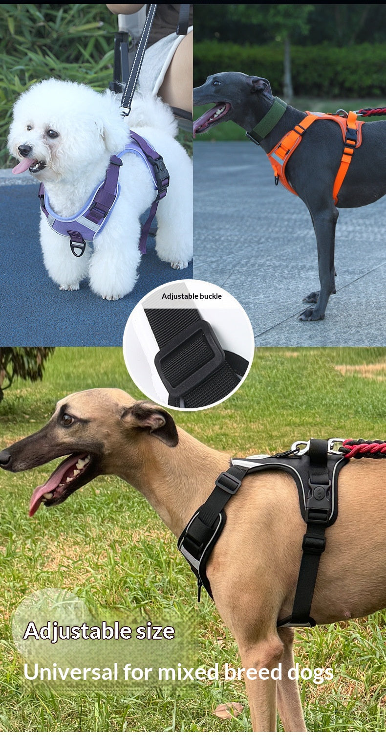Adjustable Dog Harness - Large Chest Style with Leash