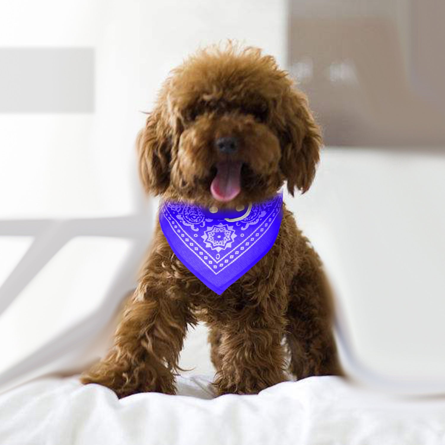 Pet Bandana Collar Adjustable - Leather Triangle Scarf