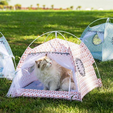 Portable Cat Tent Nest with Summer Bug Screen