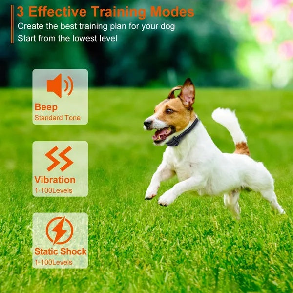 Pro Range Trainer - 3280FT Waterproof Dog Training Collar