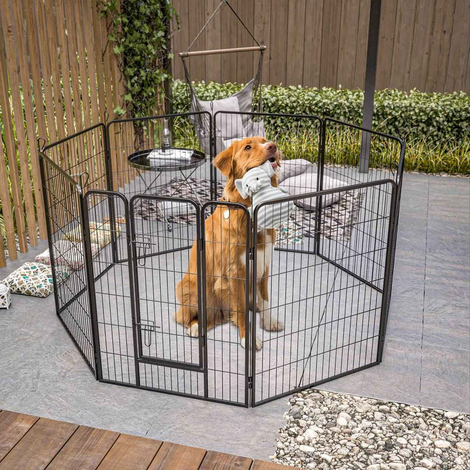 Dog Playpen For Large Dogs - 8 Panel with Door
