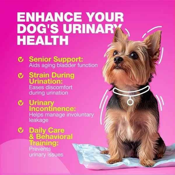 Dog Cranberry Supplement Chews - UTI Bladder Kidney Support