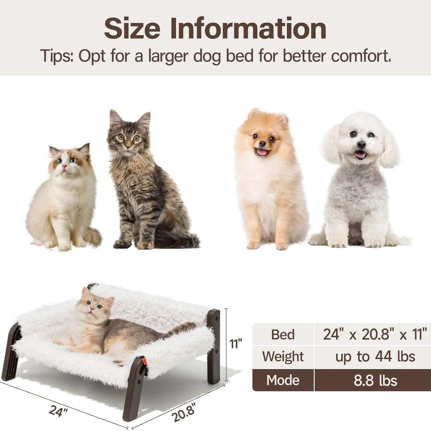 Raised Cat Bed - Elevated Plush 44lb Support
