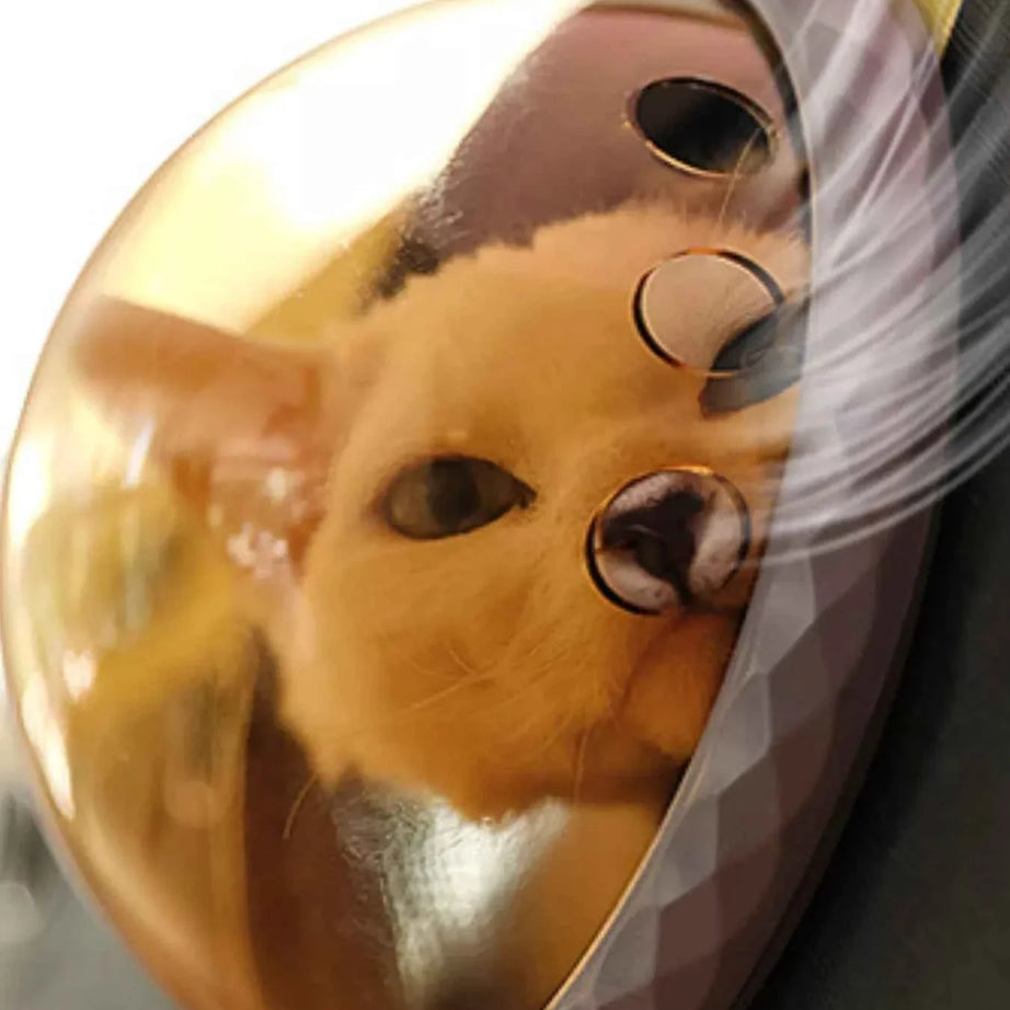 Pet Carrier Bag - Portable Bubble Window