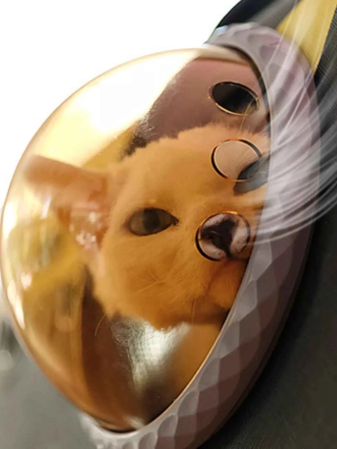 Pet Carrier Bag - Portable Bubble Window