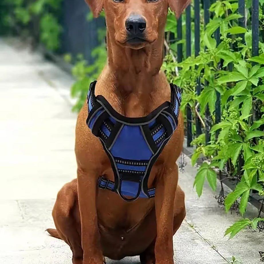 Tactical Dog Harness Set with Car Seat Belt & Travel Bowl