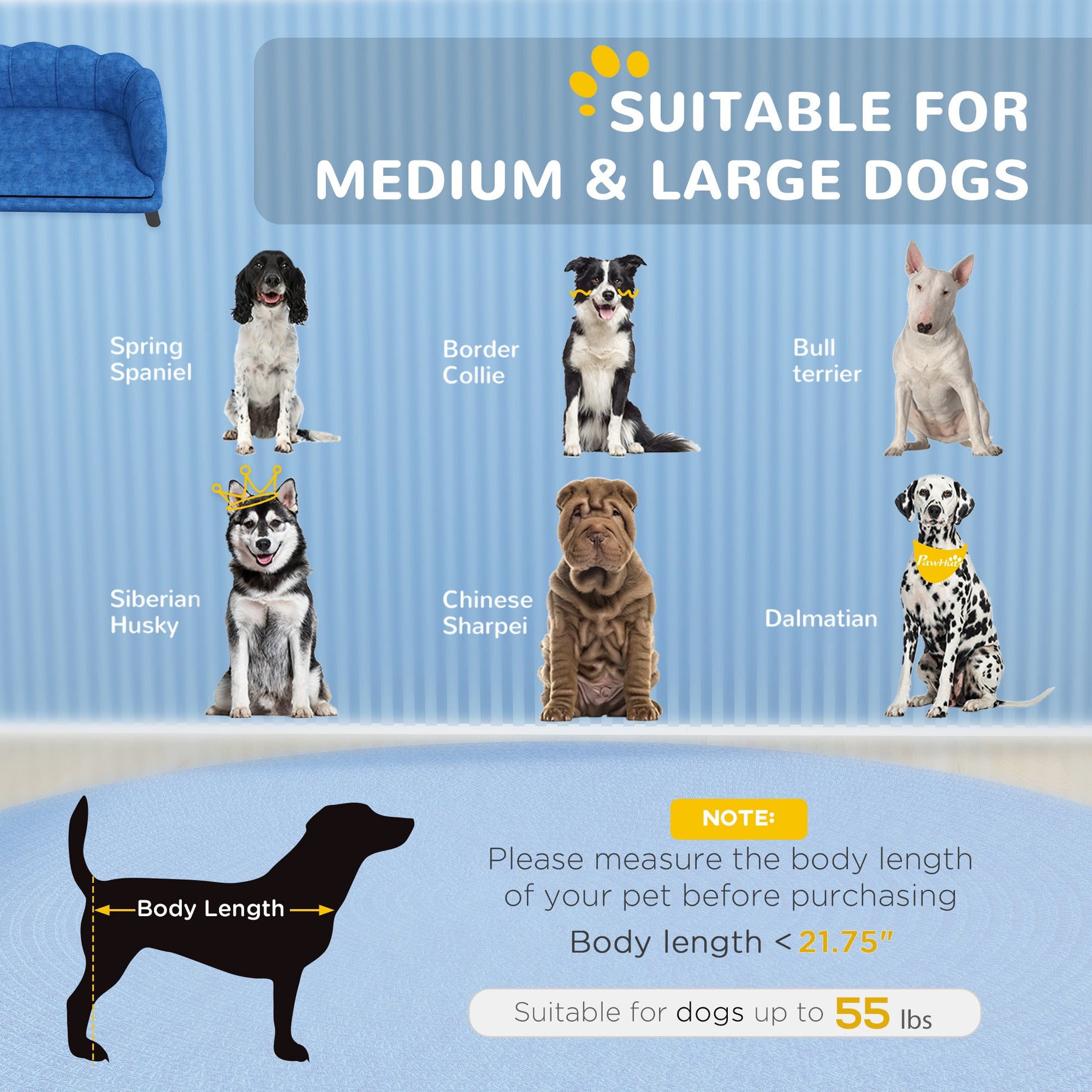 Dog Sofa Pearl Design - Velvet Cushion Birch Wood Legs