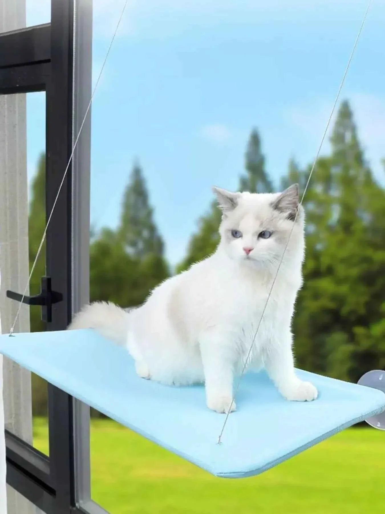 Cat Window Perch - Hammock with Suction Cups