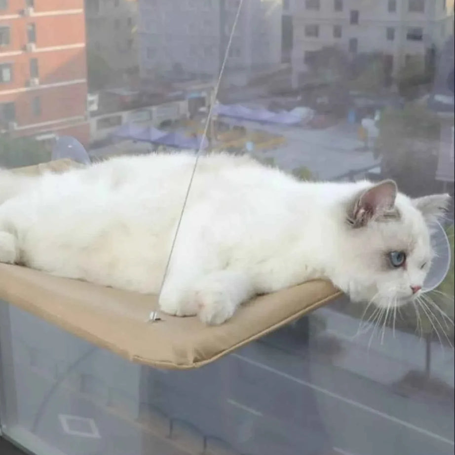 Cat Window Perch - Hammock with Suction Cups