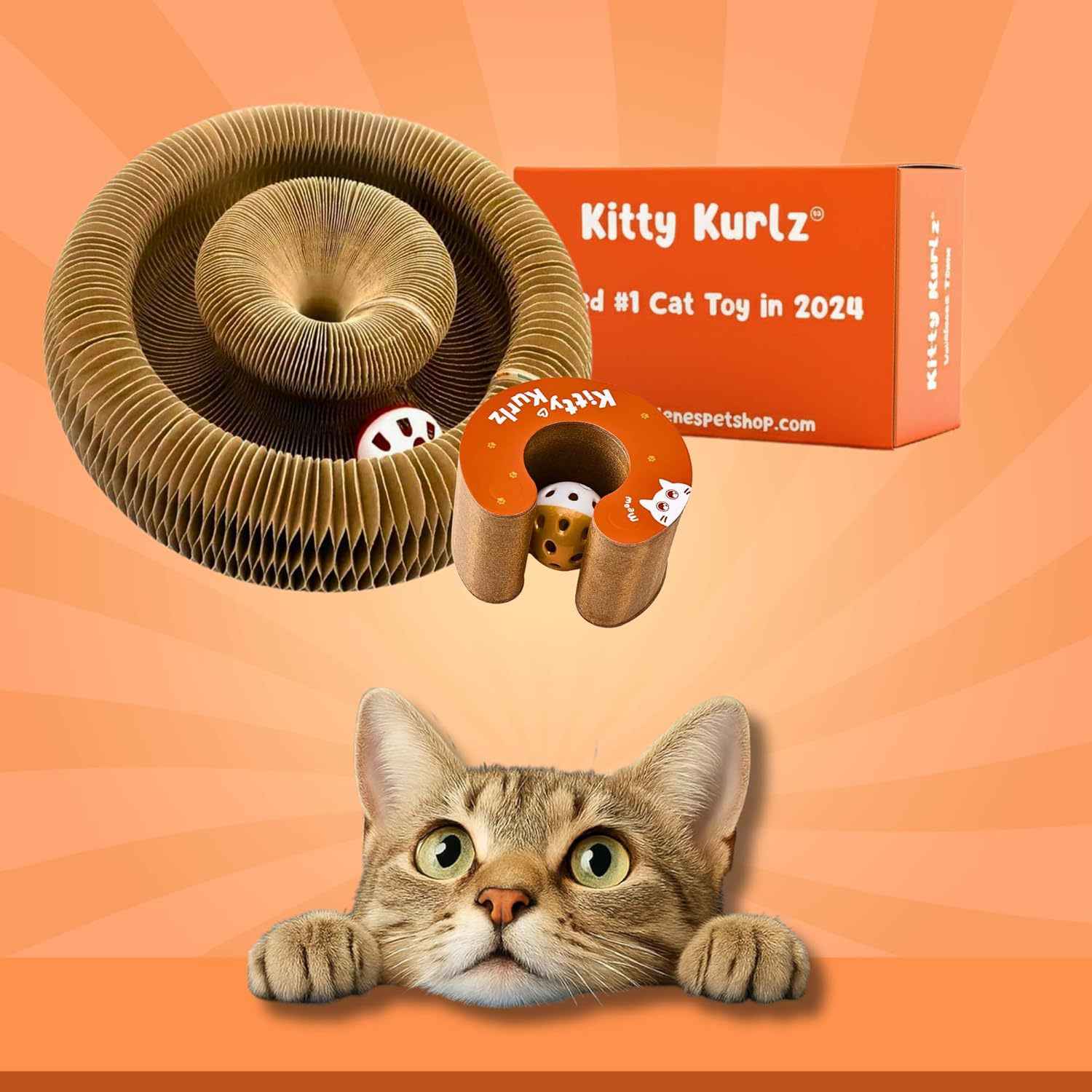 Cat Toy With Bells - Accordion-style Scratching Post