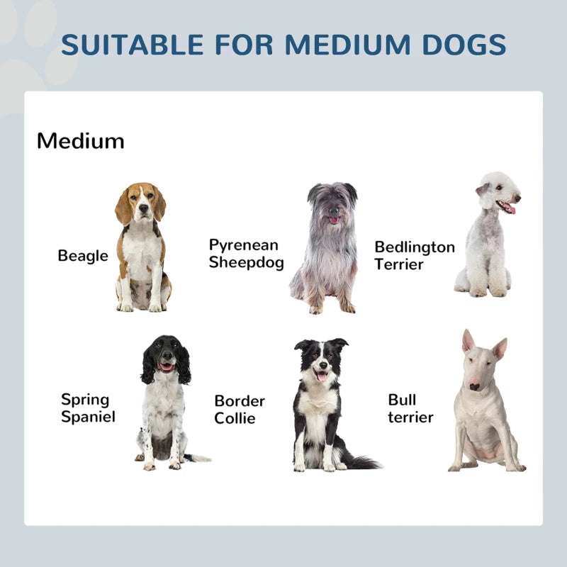 Elevated Dog Bowls - Stainless Steel Raised Feeding Station
