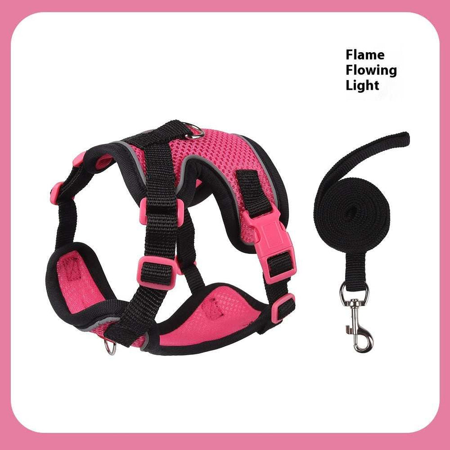 Fully Adjustable Cat Vest Pet Harness with Matching Leash
