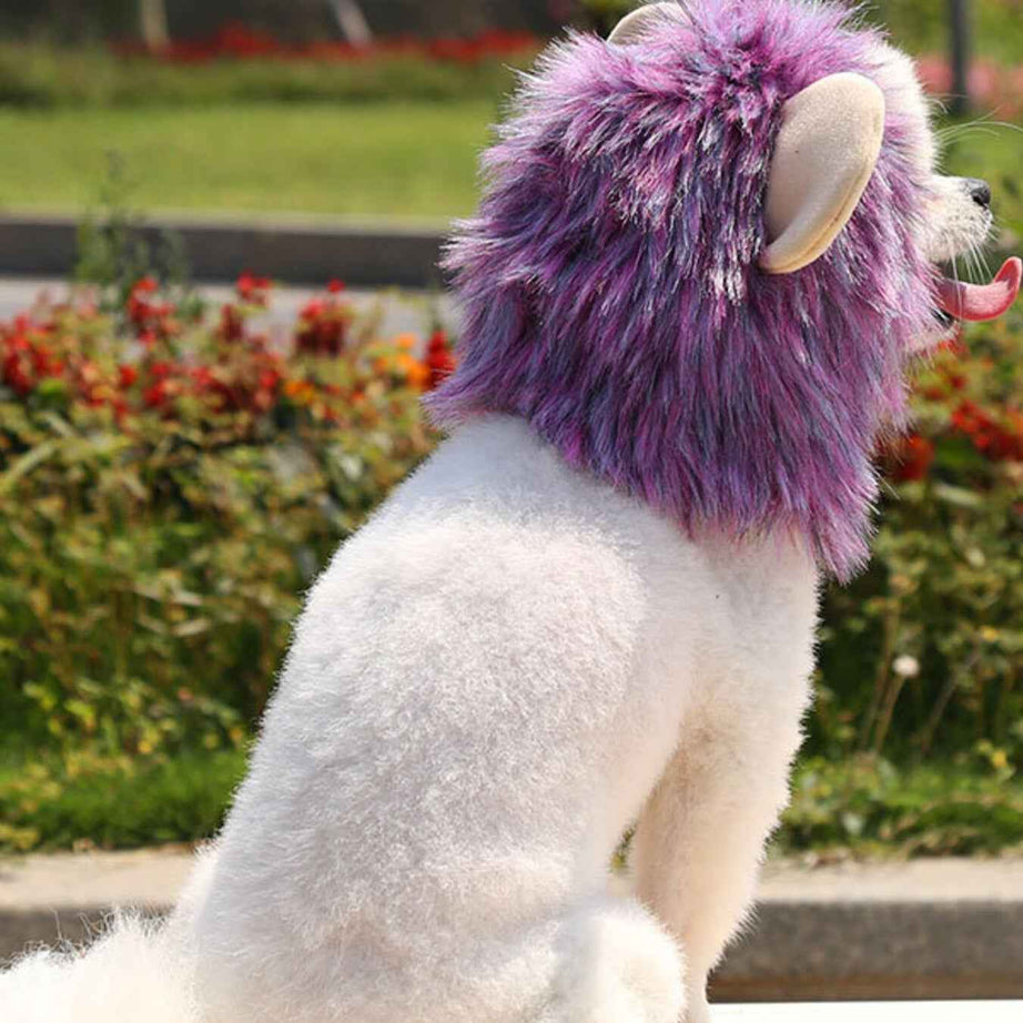 Pet Lion Mane Hat - Funny Costume Headwear for Cats and Dogs