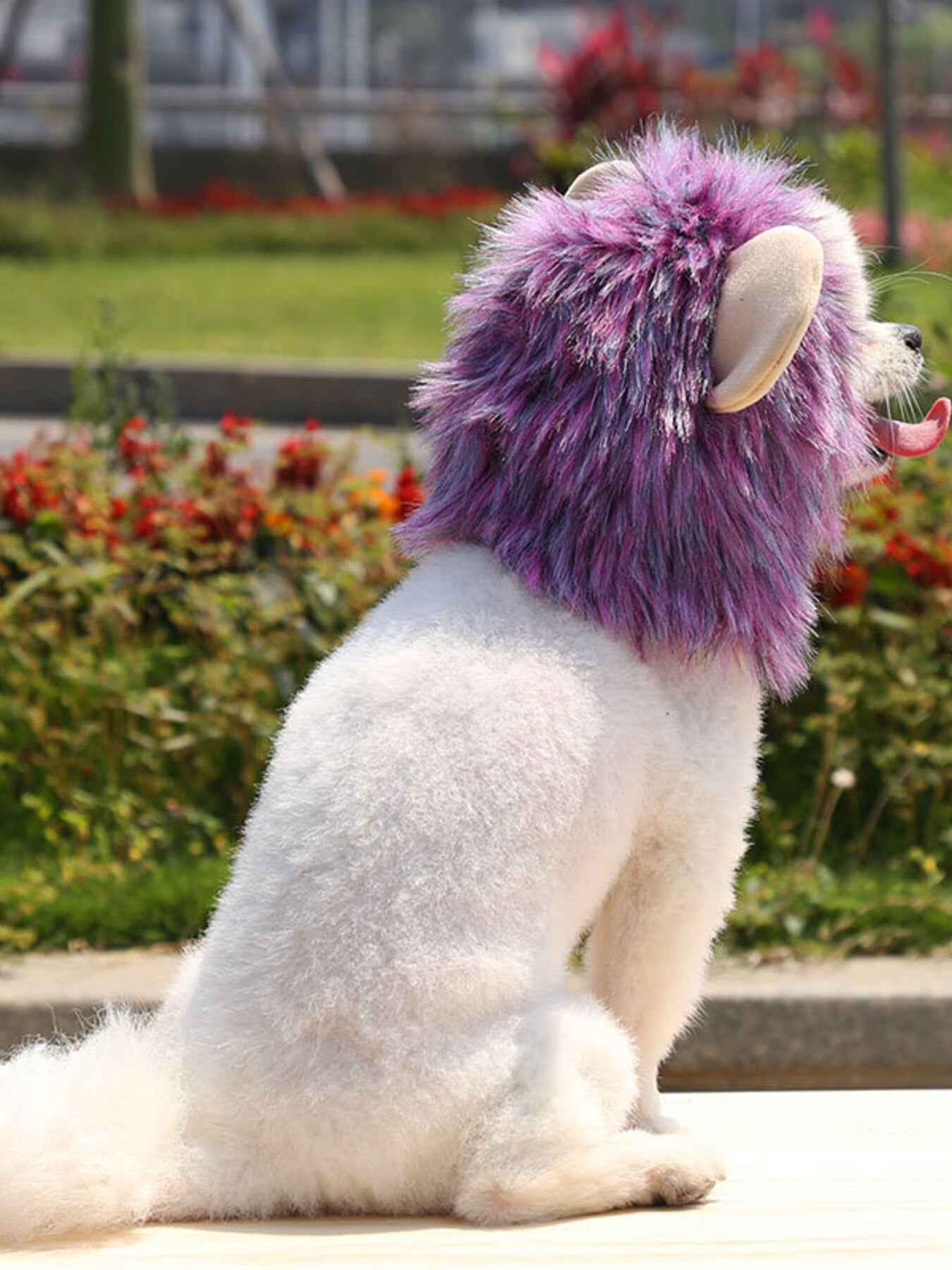 Pet Lion Mane Hat - Funny Costume Headwear for Cats and Dogs