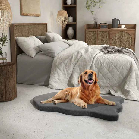 Large Dog Orthopedic Bed - Memory Foam with Washable Cover