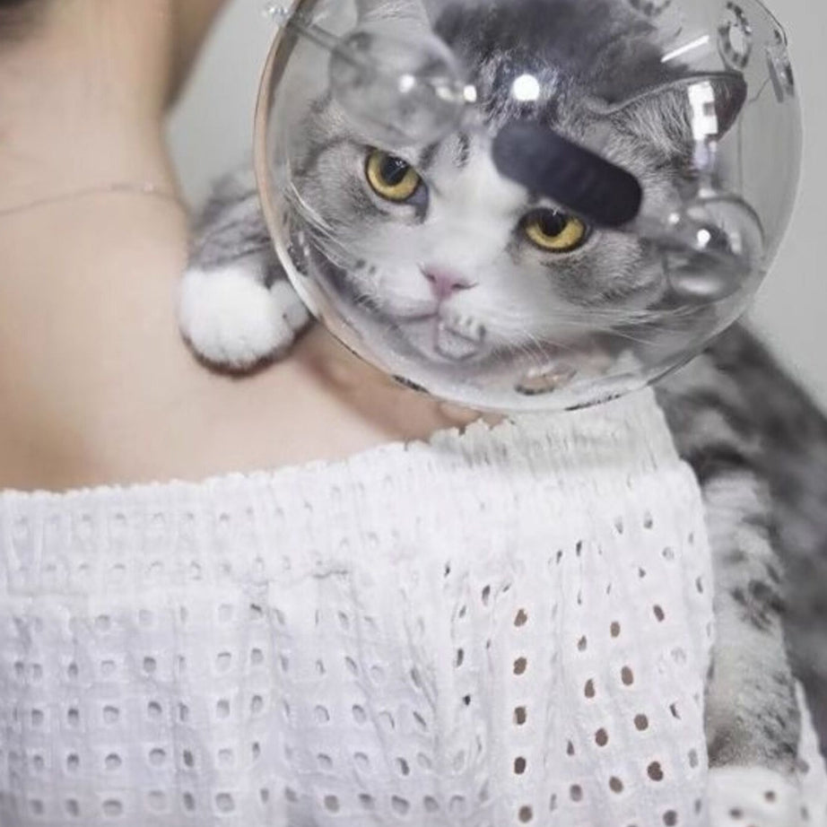 Clear Shield - Anti-Bite Pet Spherical Head Cover