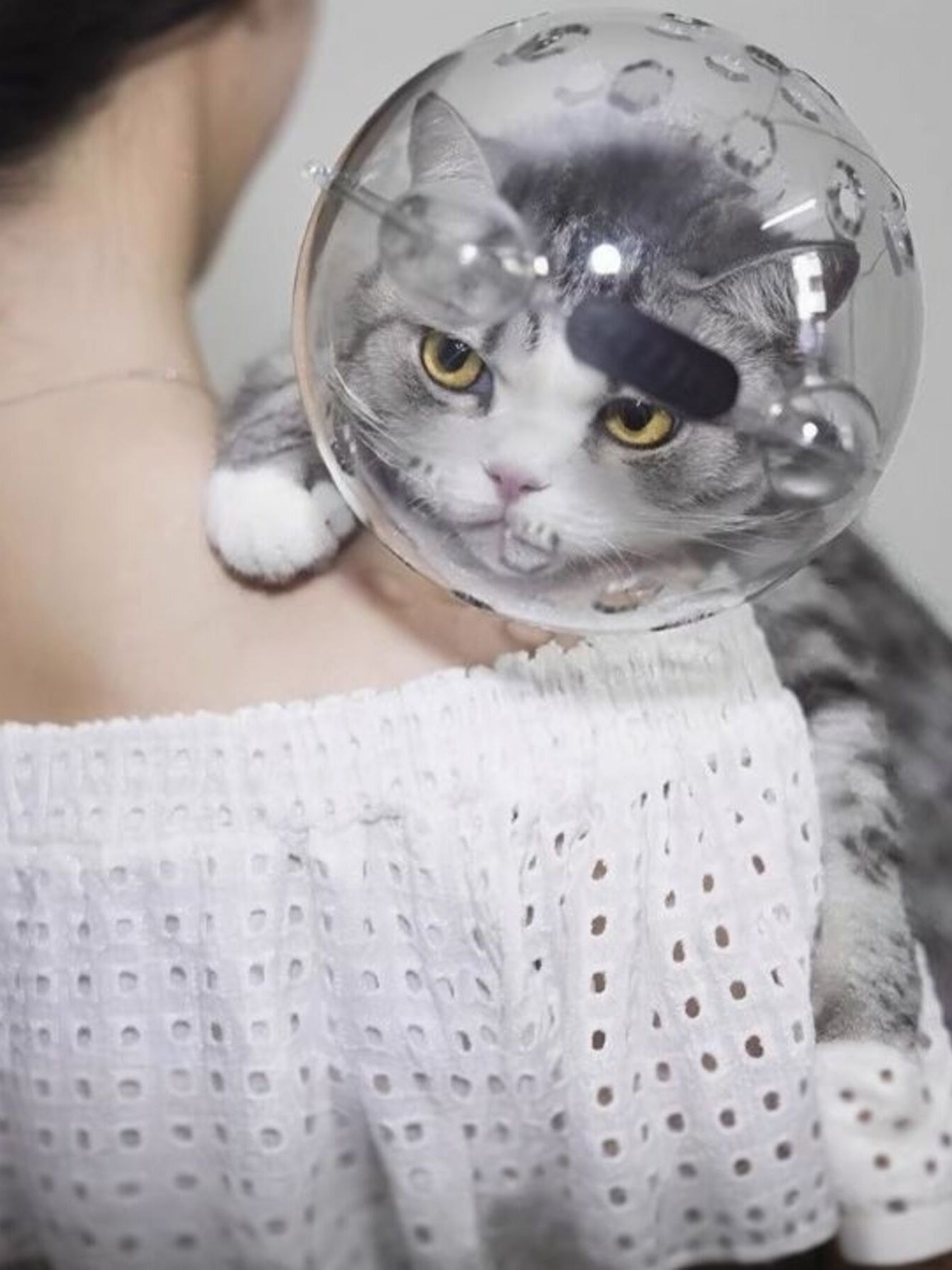 Clear Shield - Anti-Bite Pet Spherical Head Cover