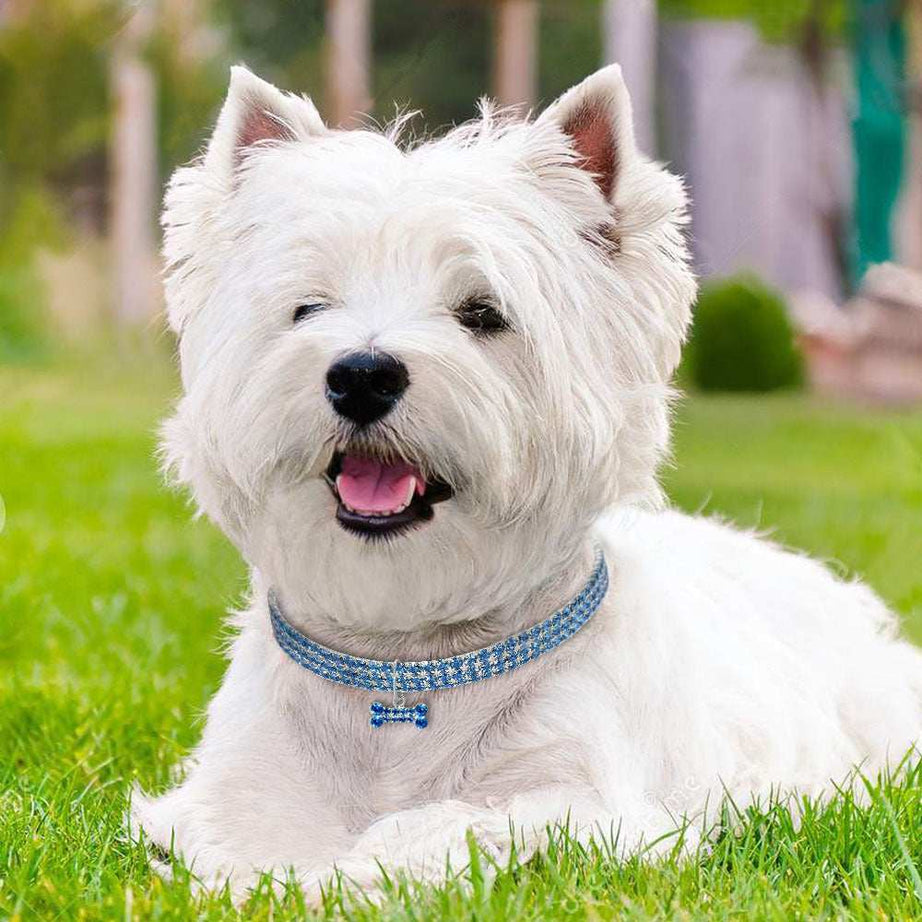 Crystal Bling Rhinestone Dog Collar for Small Medium Dogs Cats