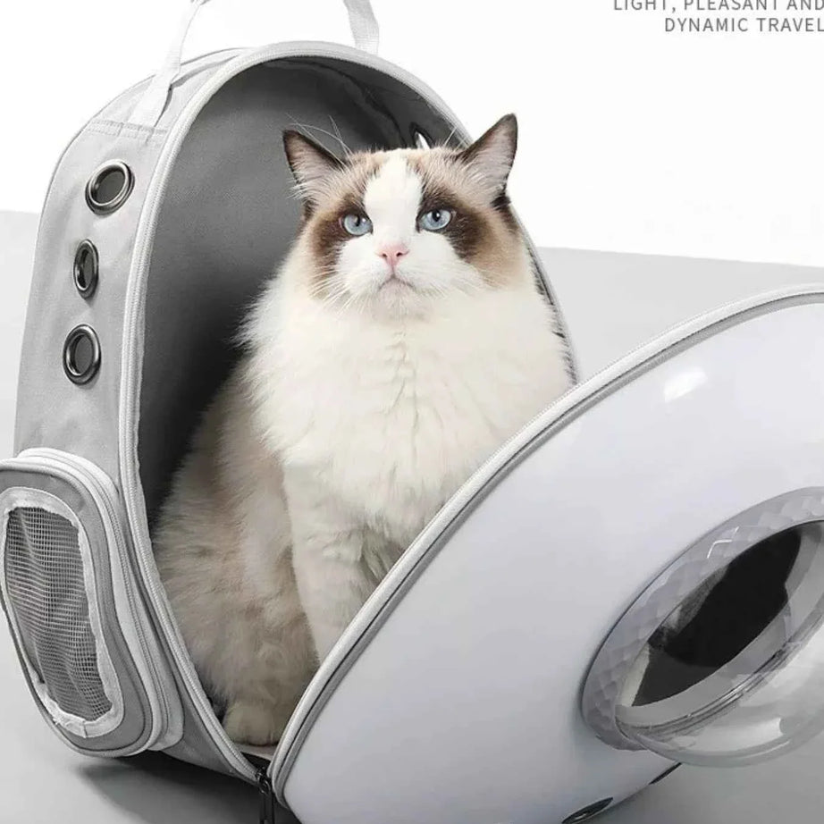 Pet Carrier Backpack - Space Capsule Transparent Bubble