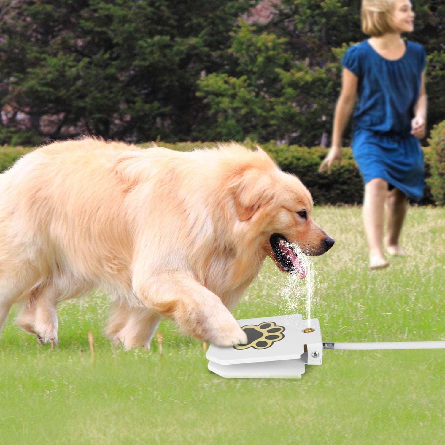 Outdoor Dog Water Fountain - Step-Activated Pedal