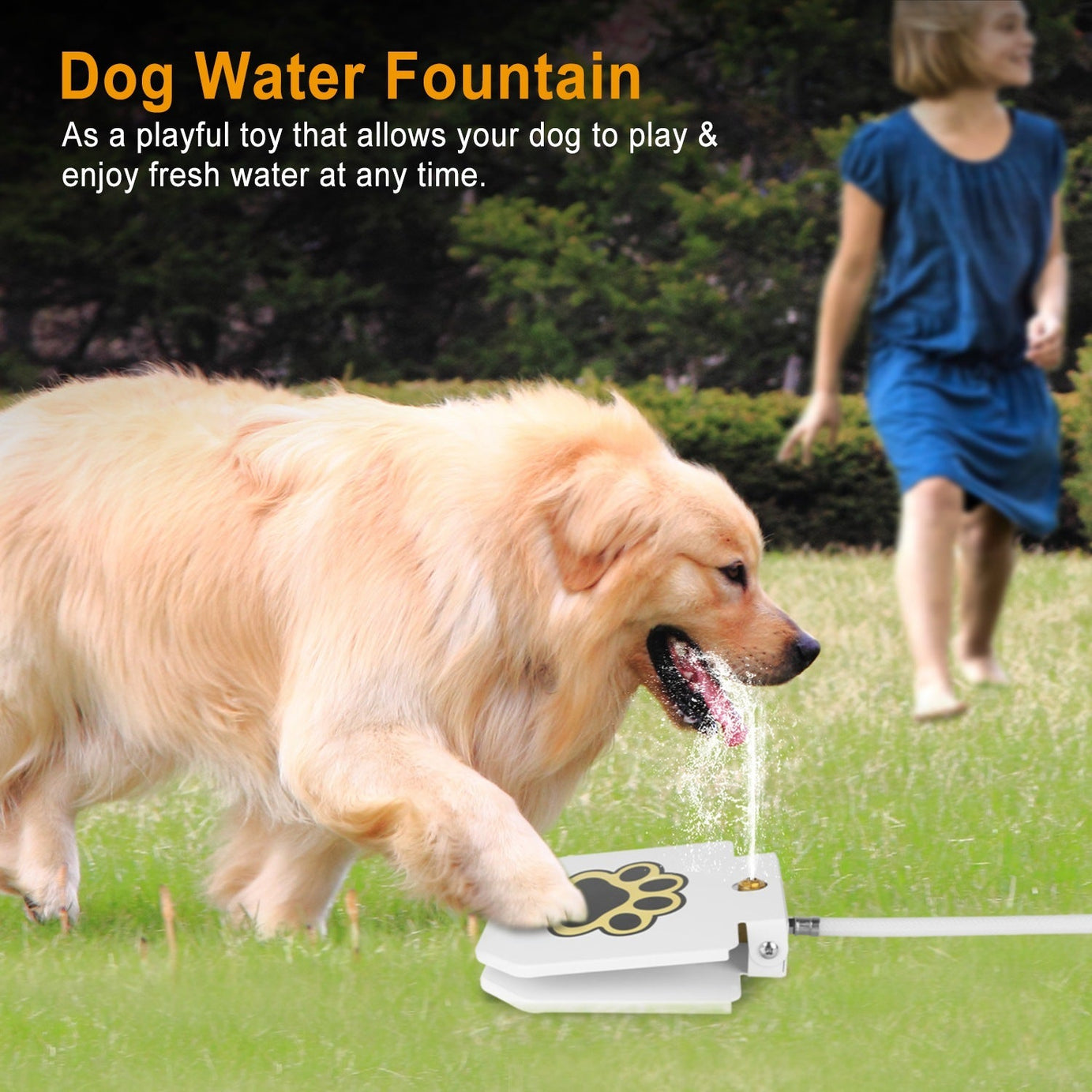Outdoor Dog Water Fountain - Step-Activated Pedal