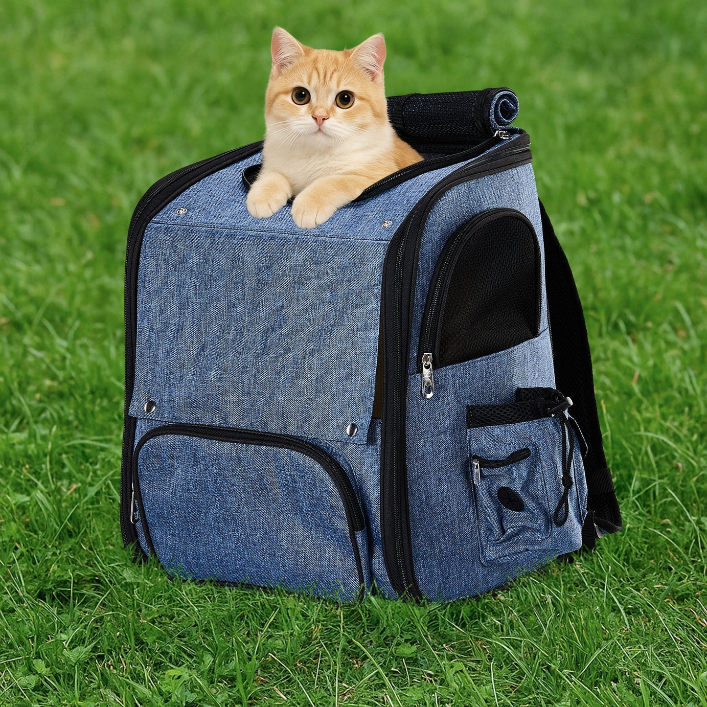 Adventure Pack Carrier - Expandable Backpack for Cats & Dogs