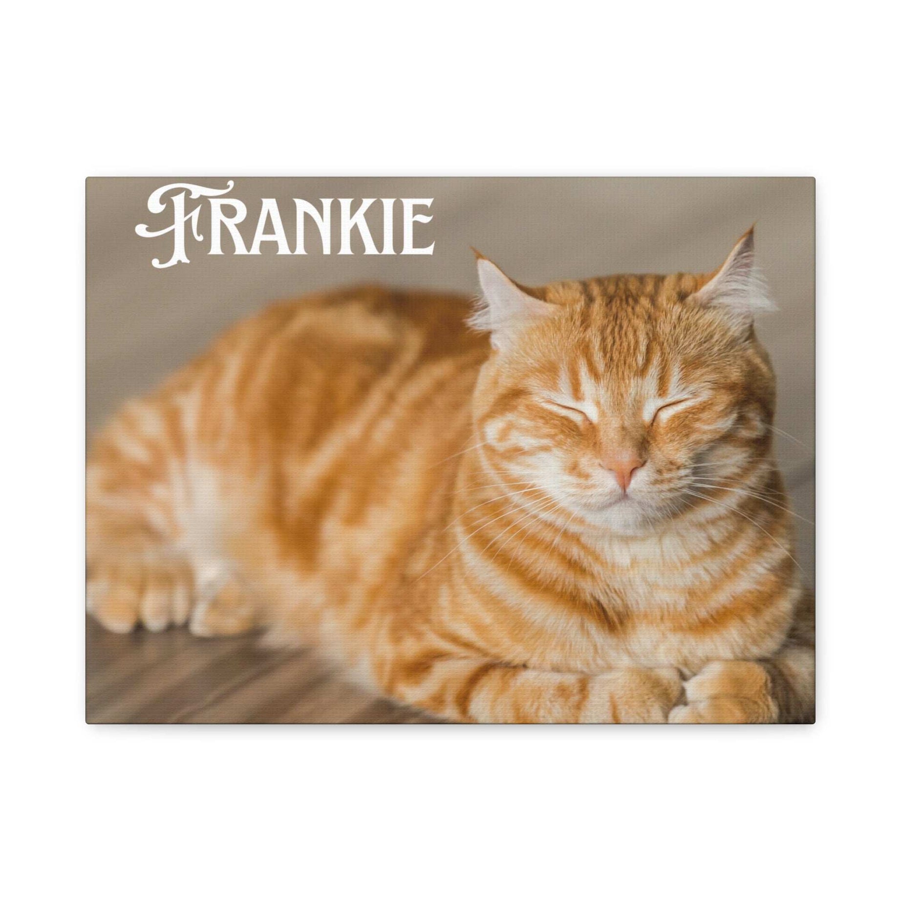 Personalized Landscape Photo Canvas Wall Art - Stretch Framed Print for Pet Lovers