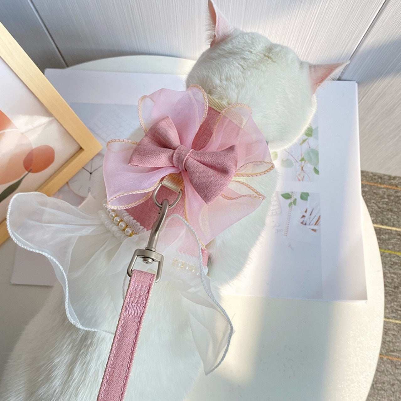 Decorative Bow Ballerina Style Tutu Princess Pet Harness and Matching Leash Set