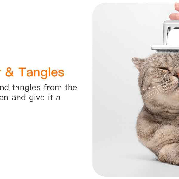 Powerful Pet Grooming Vacuum for Multi-Pet Homes - Large Capacity