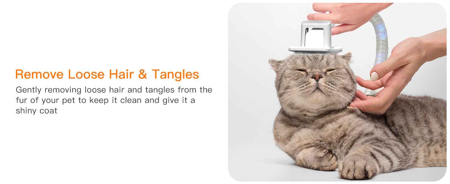 Powerful Pet Grooming Vacuum for Multi-Pet Homes - Large Capacity