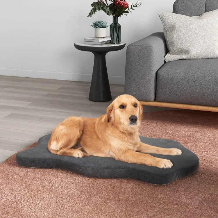 Large Dog Orthopedic Bed - Memory Foam with Washable Cover