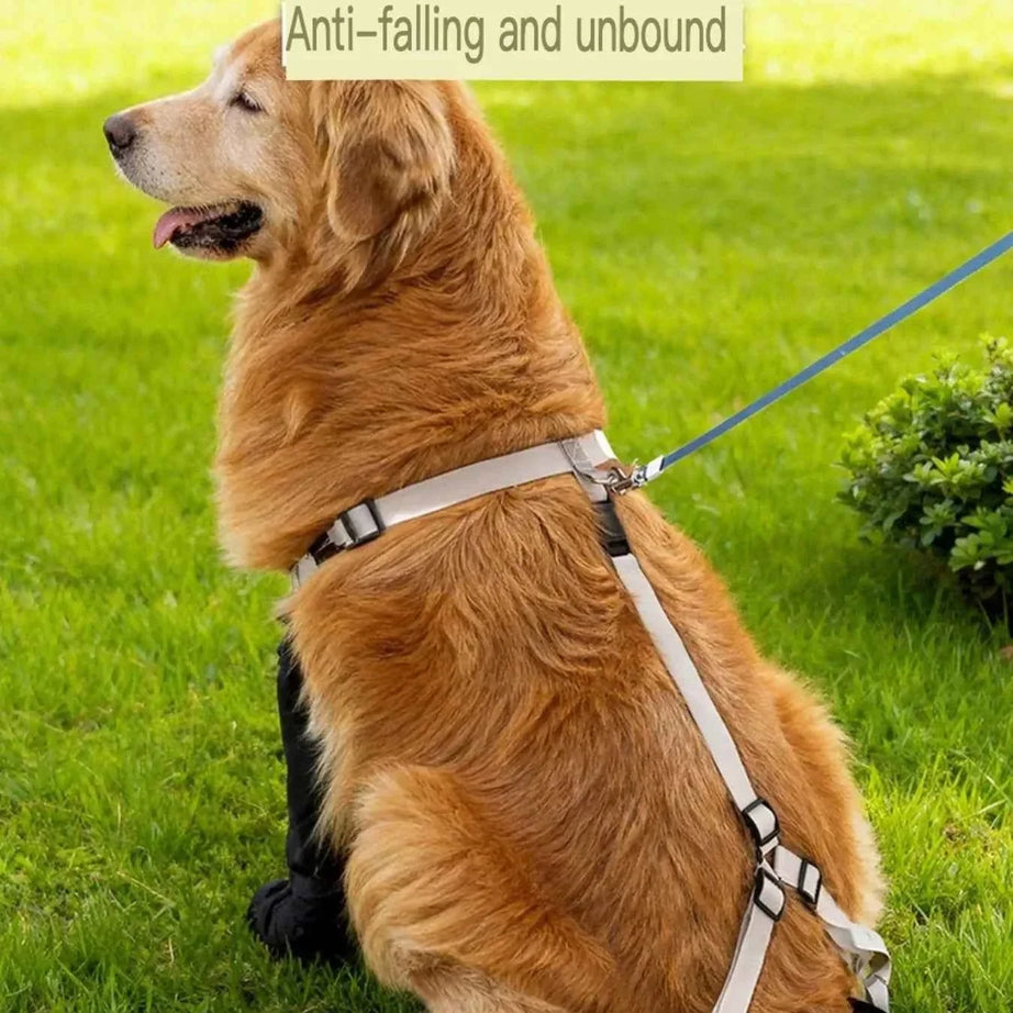 Dog Boots Waterproof Protective - Adjustable Paw Shoes