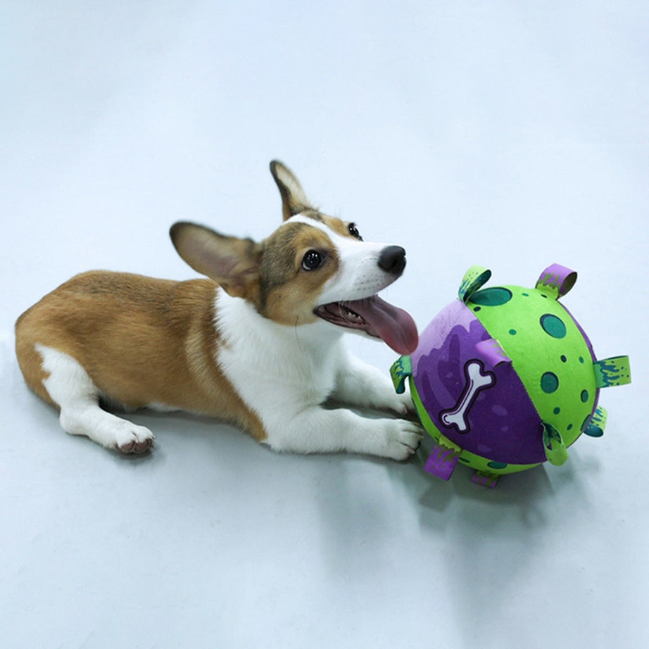 Dog Soccer Ball - Interactive Tug Toy with Straps