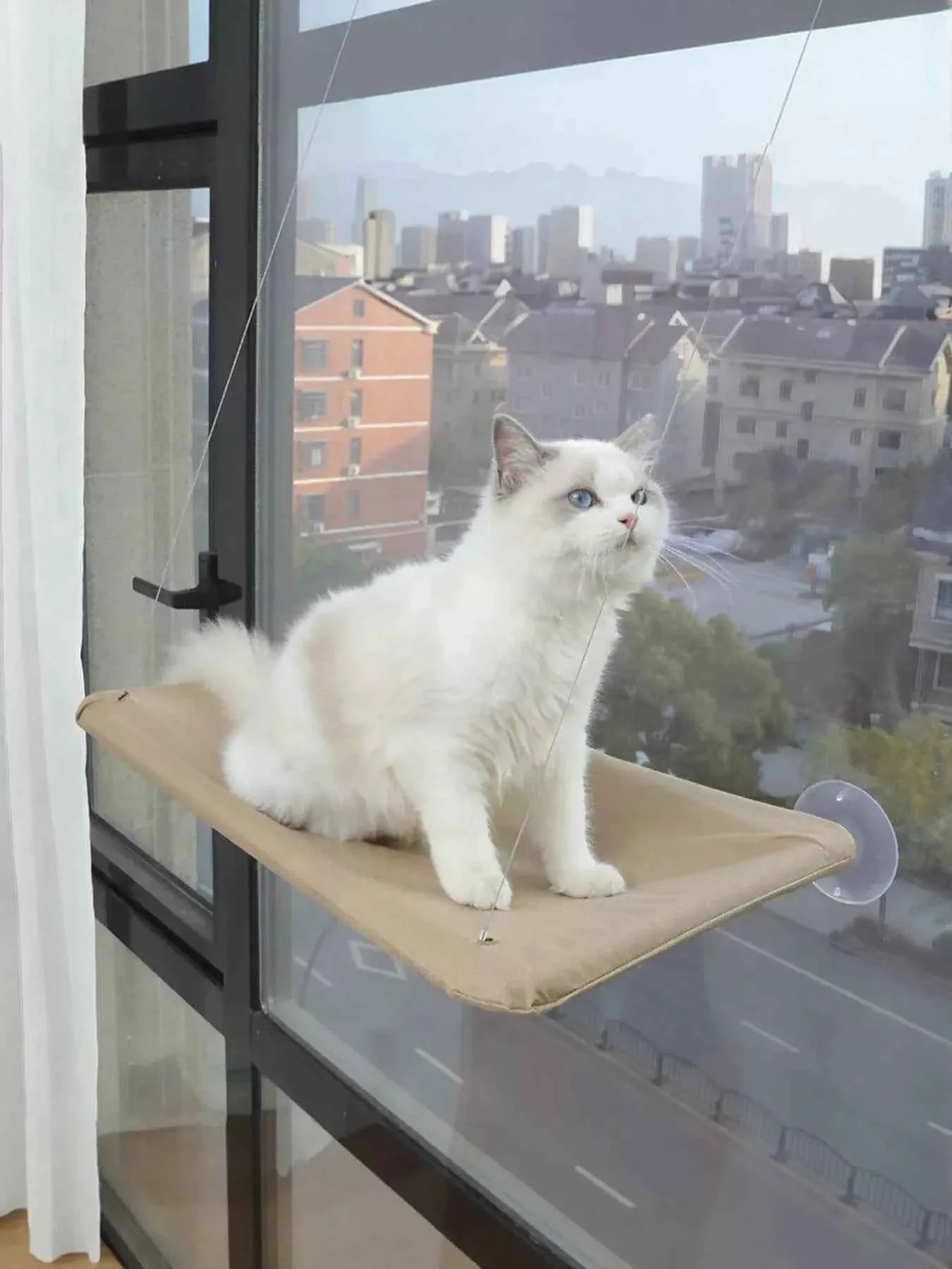 Cat Window Perch - Hammock with Suction Cups