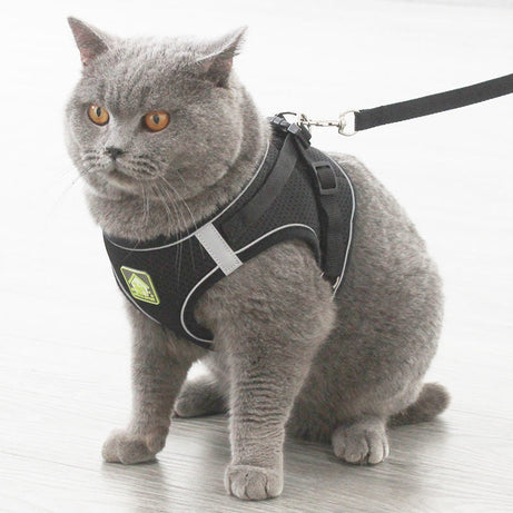 Anti-Escape Cat Vest - Breathable Walking Harness