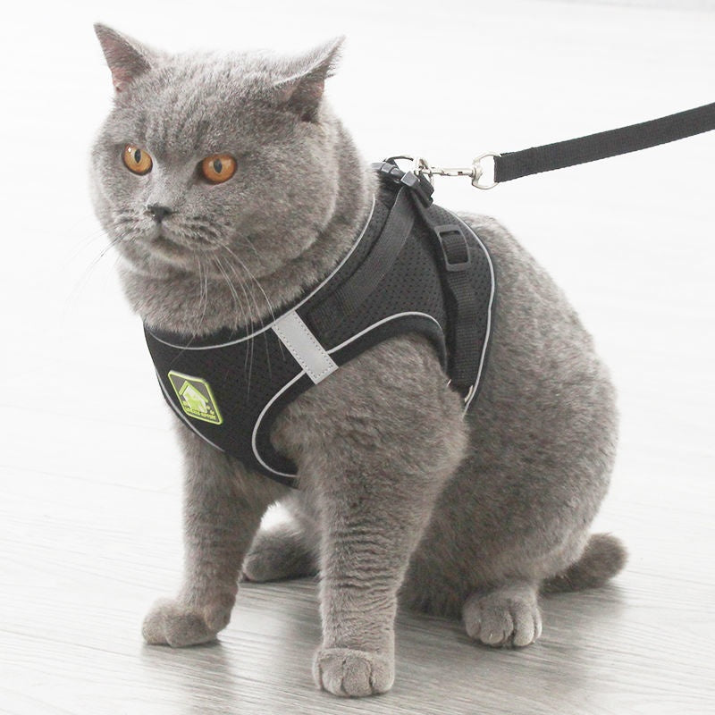 Anti-Escape Cat Vest - Breathable Walking Harness