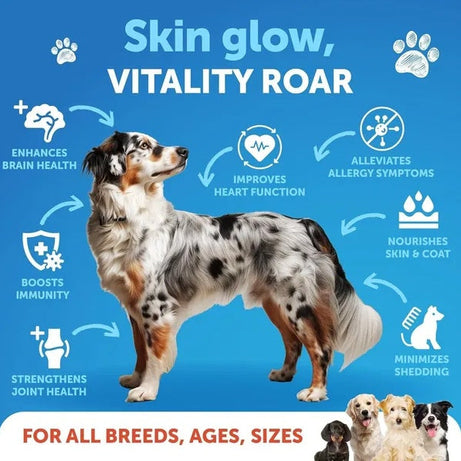Salmon Oil for Dogs Wild Alaskan - Omega 3 Coat Joint