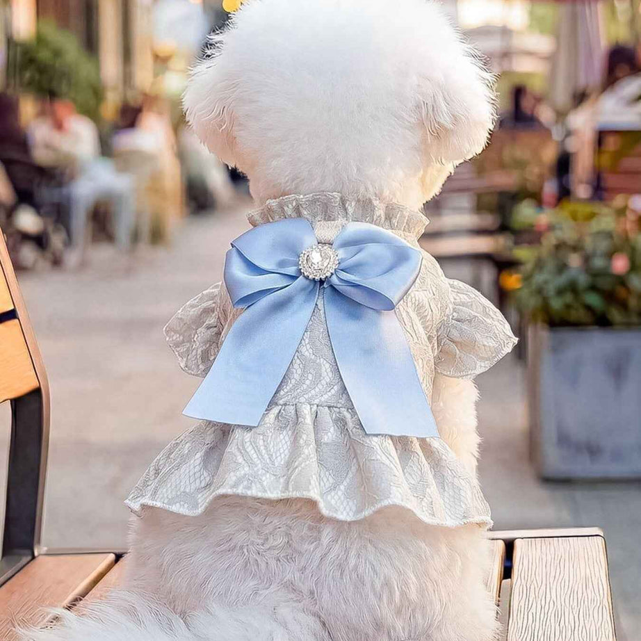 Dog Lace Ruffle Dress - Jacquard Bow with Rhinestone for Small Dogs