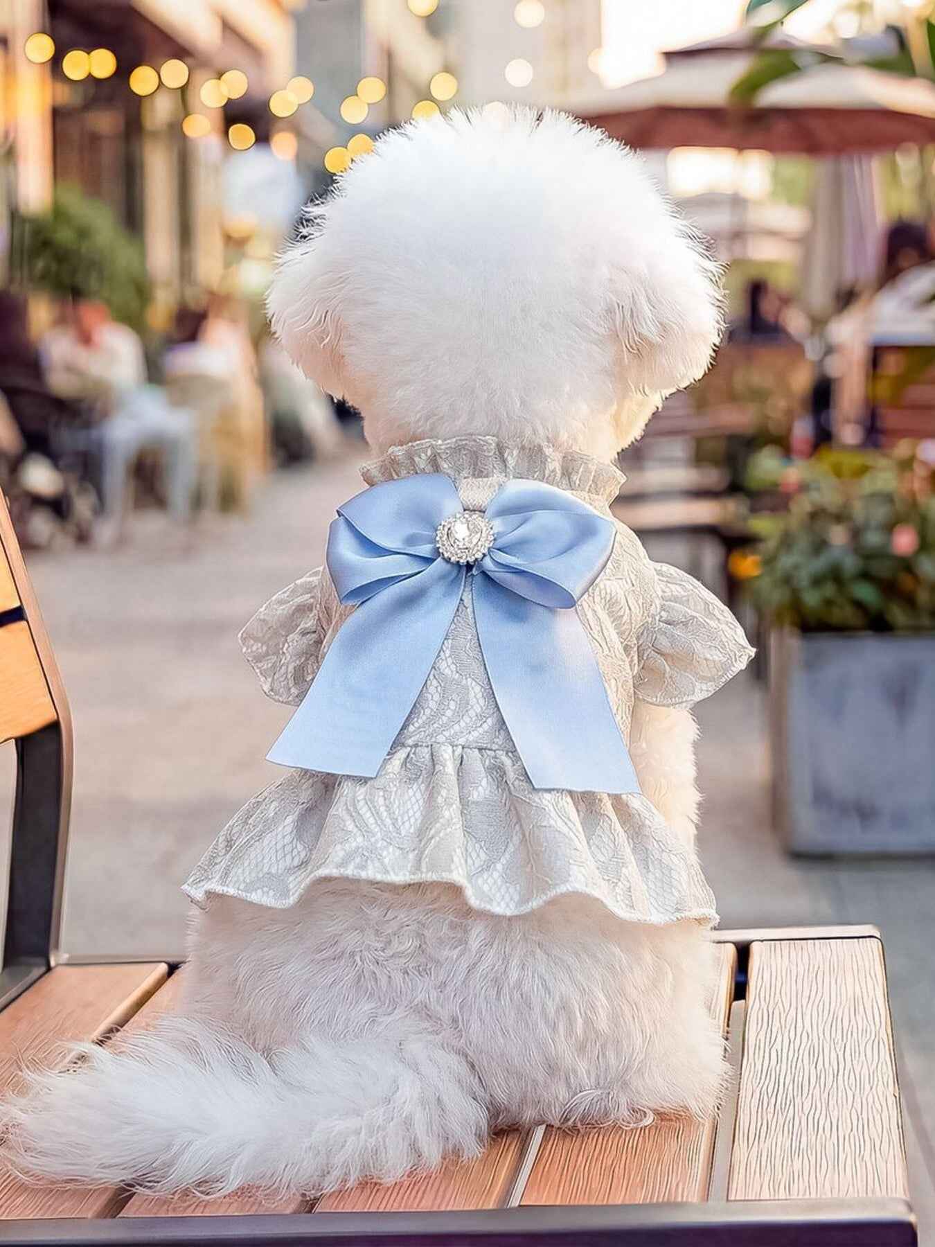 Dog Lace Ruffle Dress - Jacquard Bow with Rhinestone for Small Dogs