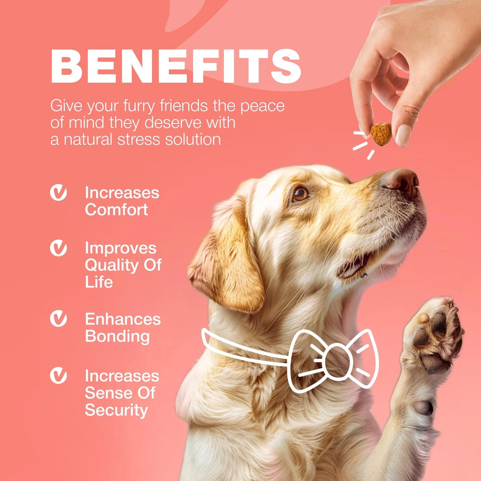 Dog Flea and Tick Chews - Chewia Vet Formulated Soft Chews 180 Count