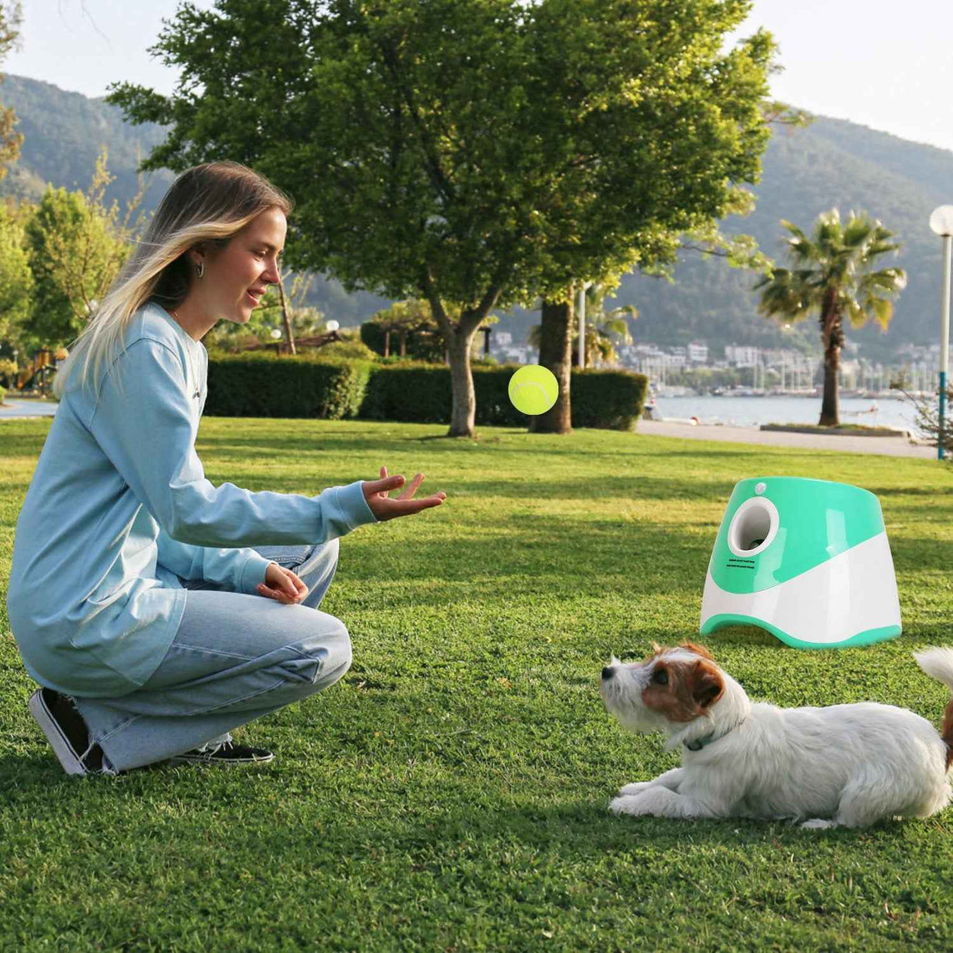 Automatic Dog Ball Launcher - 6 Tennis Balls Adjustable Distance