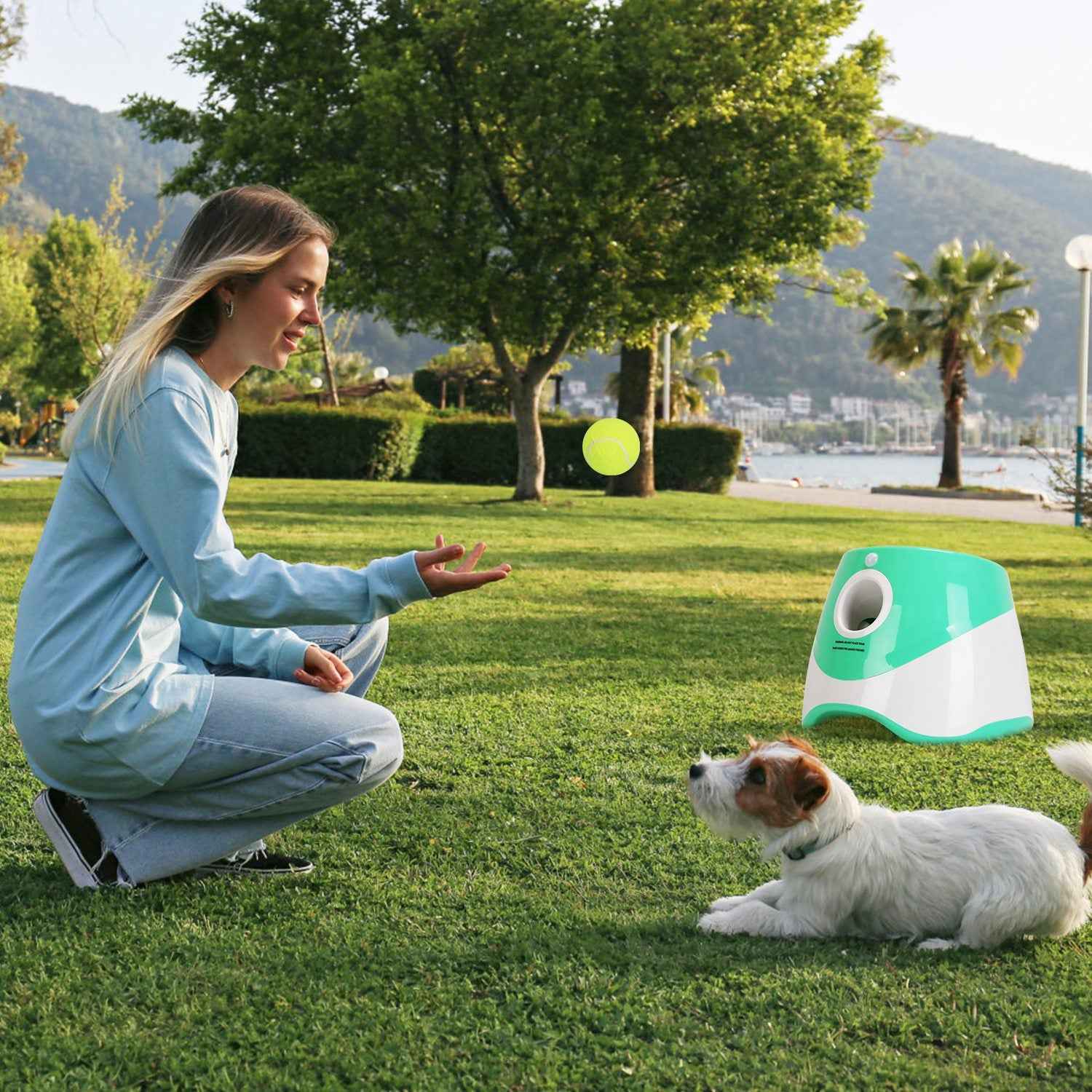 Automatic Dog Ball Launcher - 6 Tennis Balls Adjustable Distance