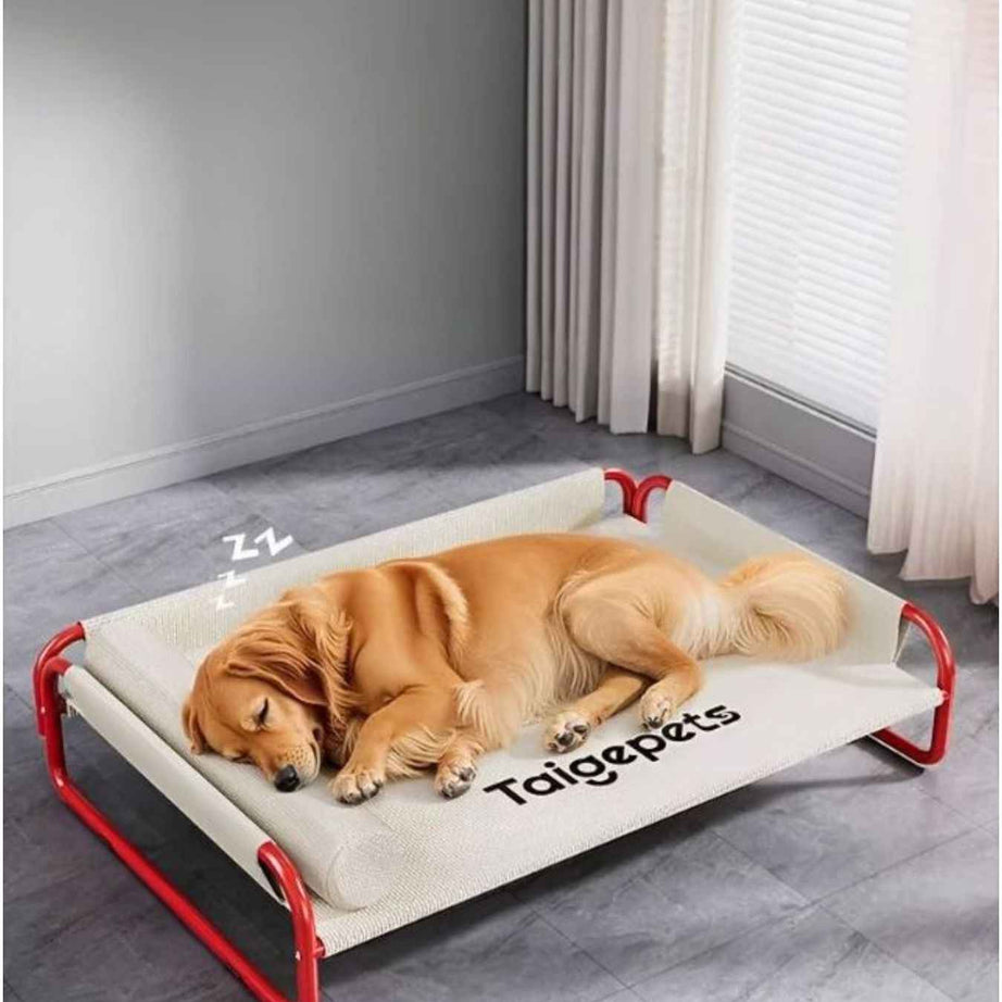 Foldable Pet Bed - Portable Easy Storage
