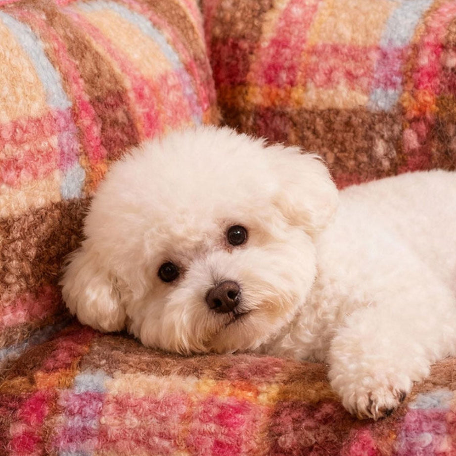 Pet Plaid Sofa Bed Plush - Foldable Couch for Cats and Dogs