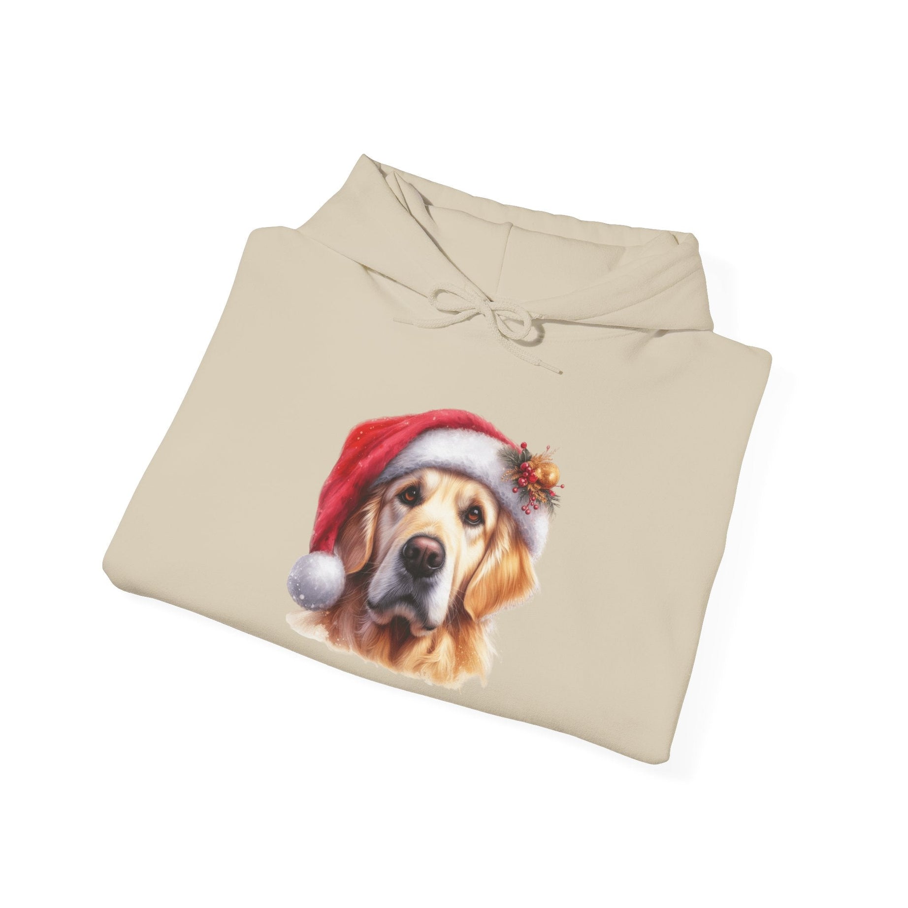 Christmas Hoodie - Golden Retriever in Santa Hat