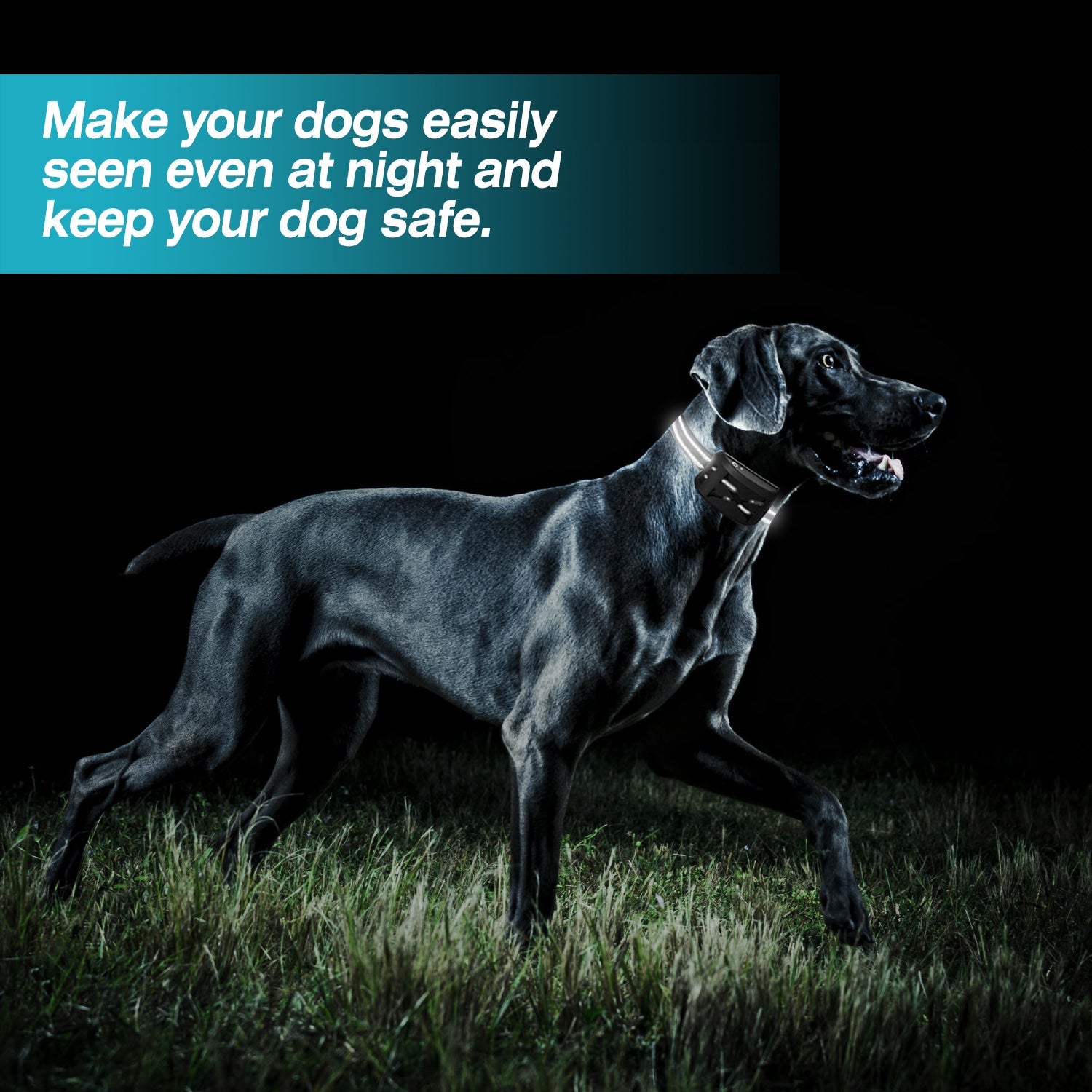 Dog Wireless Fence 2-in-1 - Training Collar System 2 Receivers