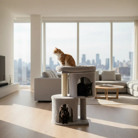 Compact Cat Tree -  2 Condos & Sisal Scratching Posts