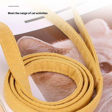 Fun "Cute Bee" Small Pet Harness & Matching Lead
