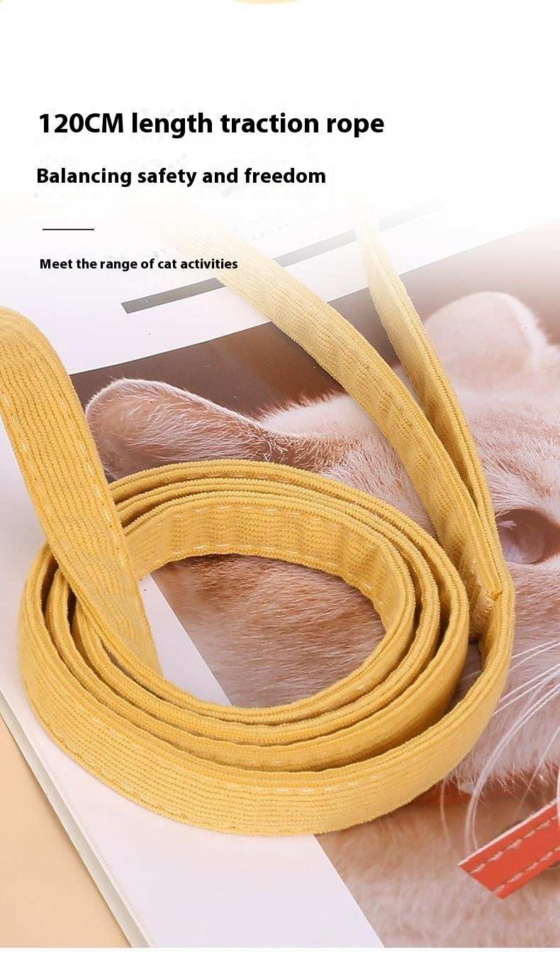 Fun "Cute Bee" Small Pet Harness & Matching Lead