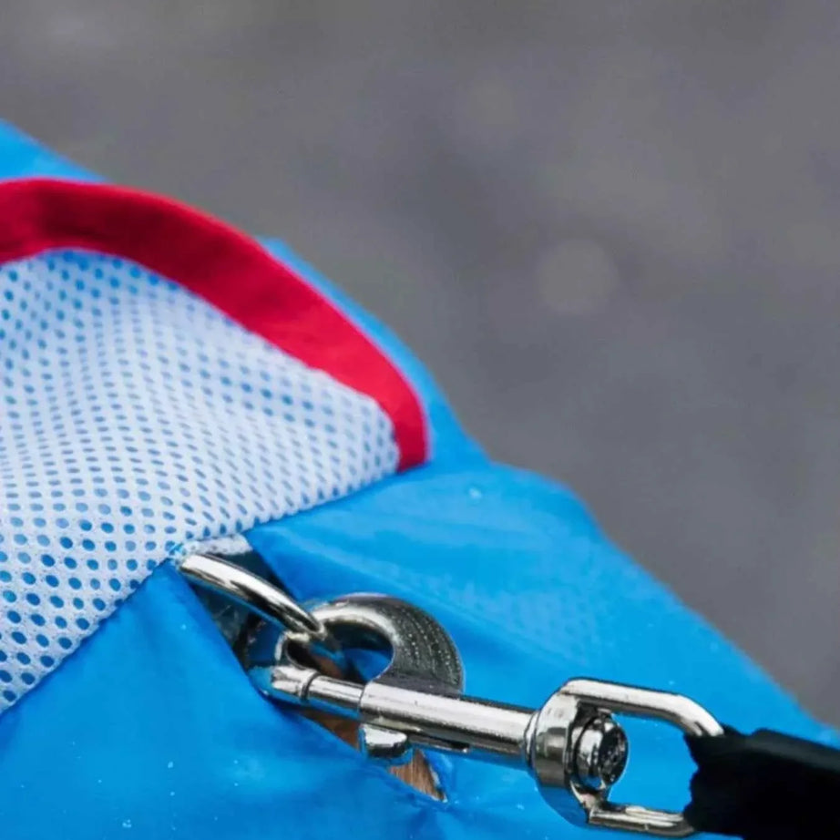 Waterproof Dog Raincoat - Dinosaur Style with Hood